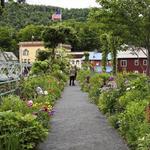 Bridge of Flowers