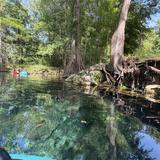 Ginnie Springs