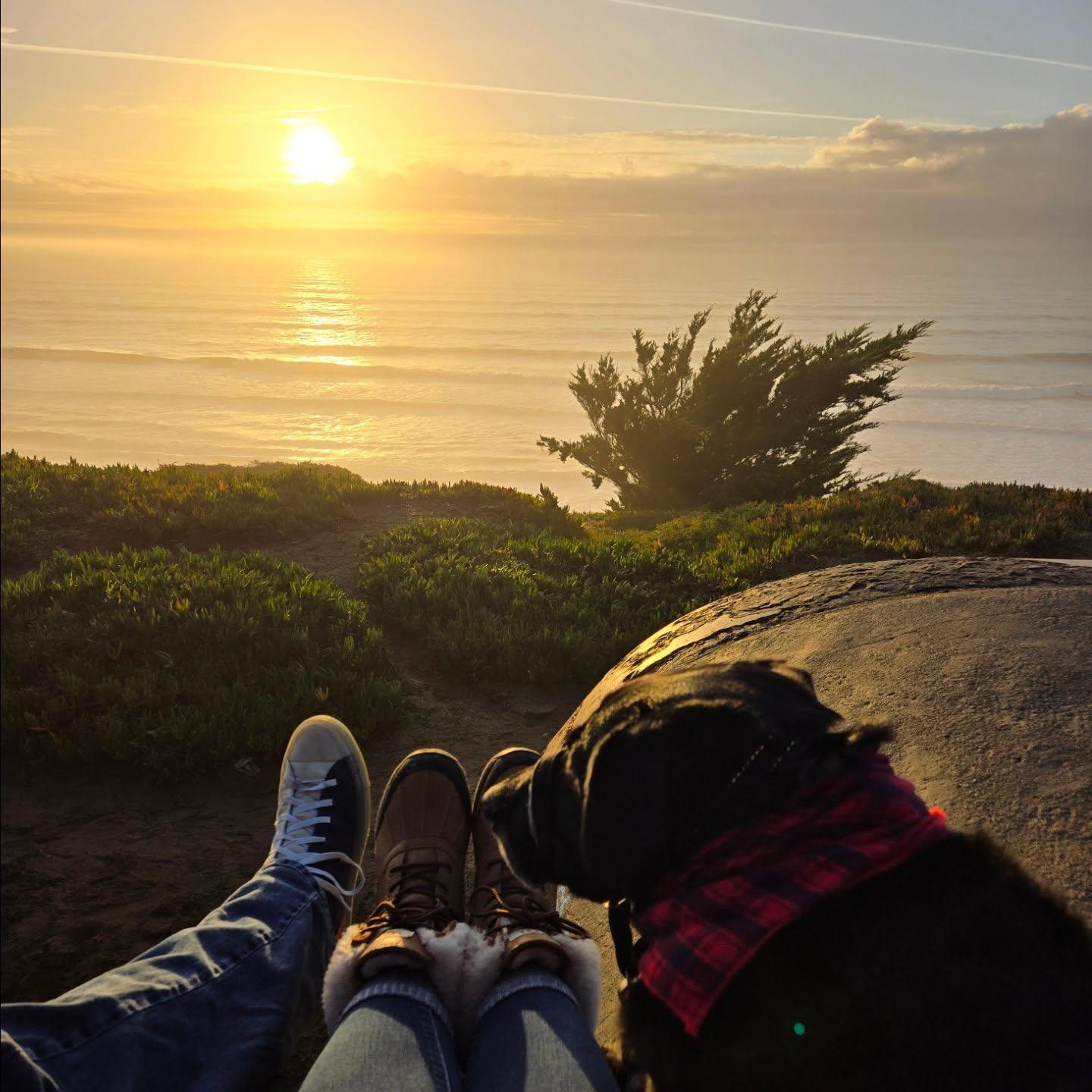 Fort Funston,  San Francisco December 2024