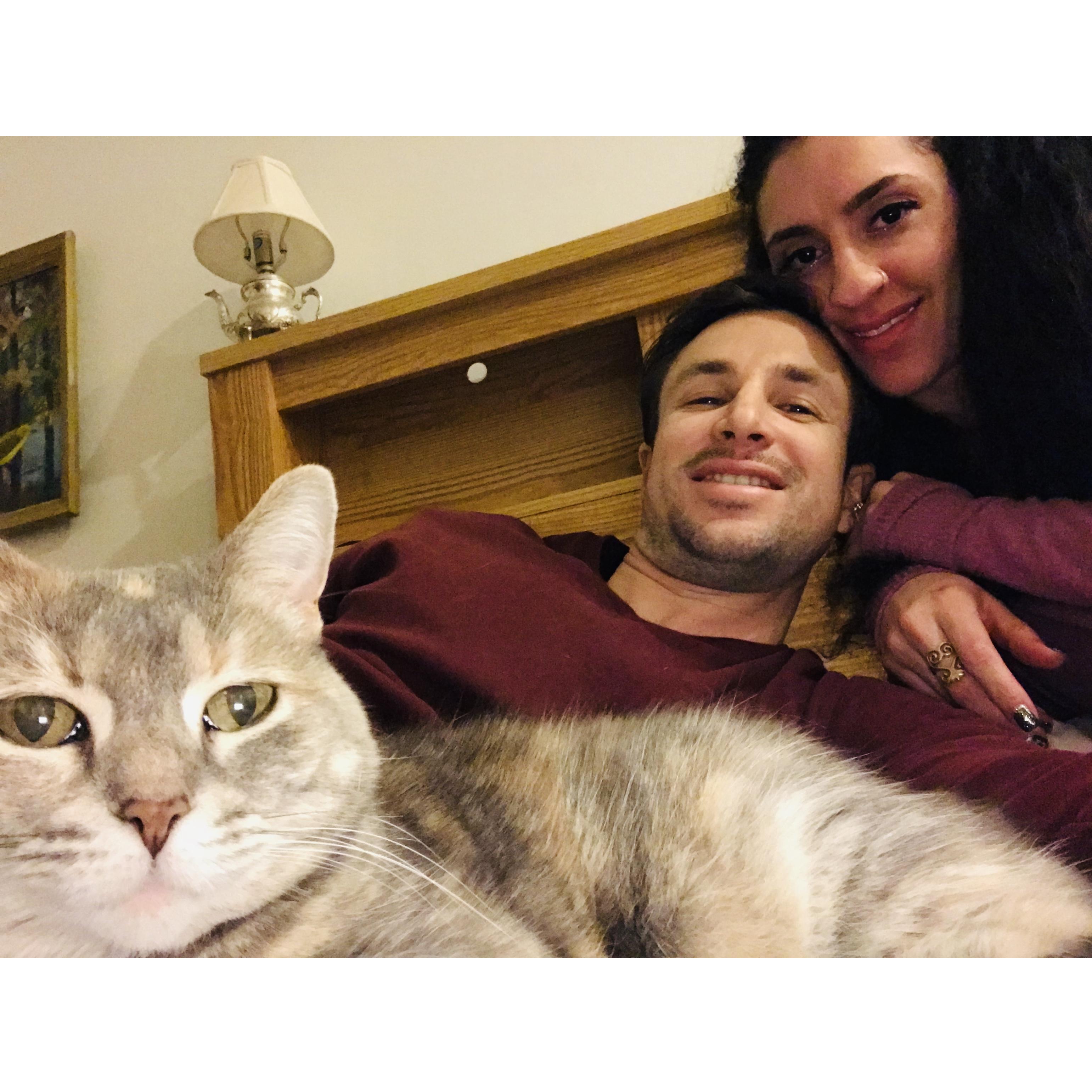 Kissen, Katsen, Izzy Vibes