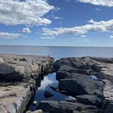 Schoodic Point