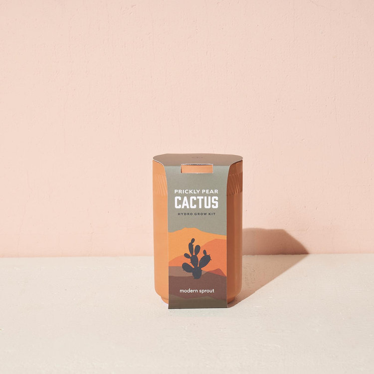 Modern Sprout, Terracotta Grow Kit | Zola