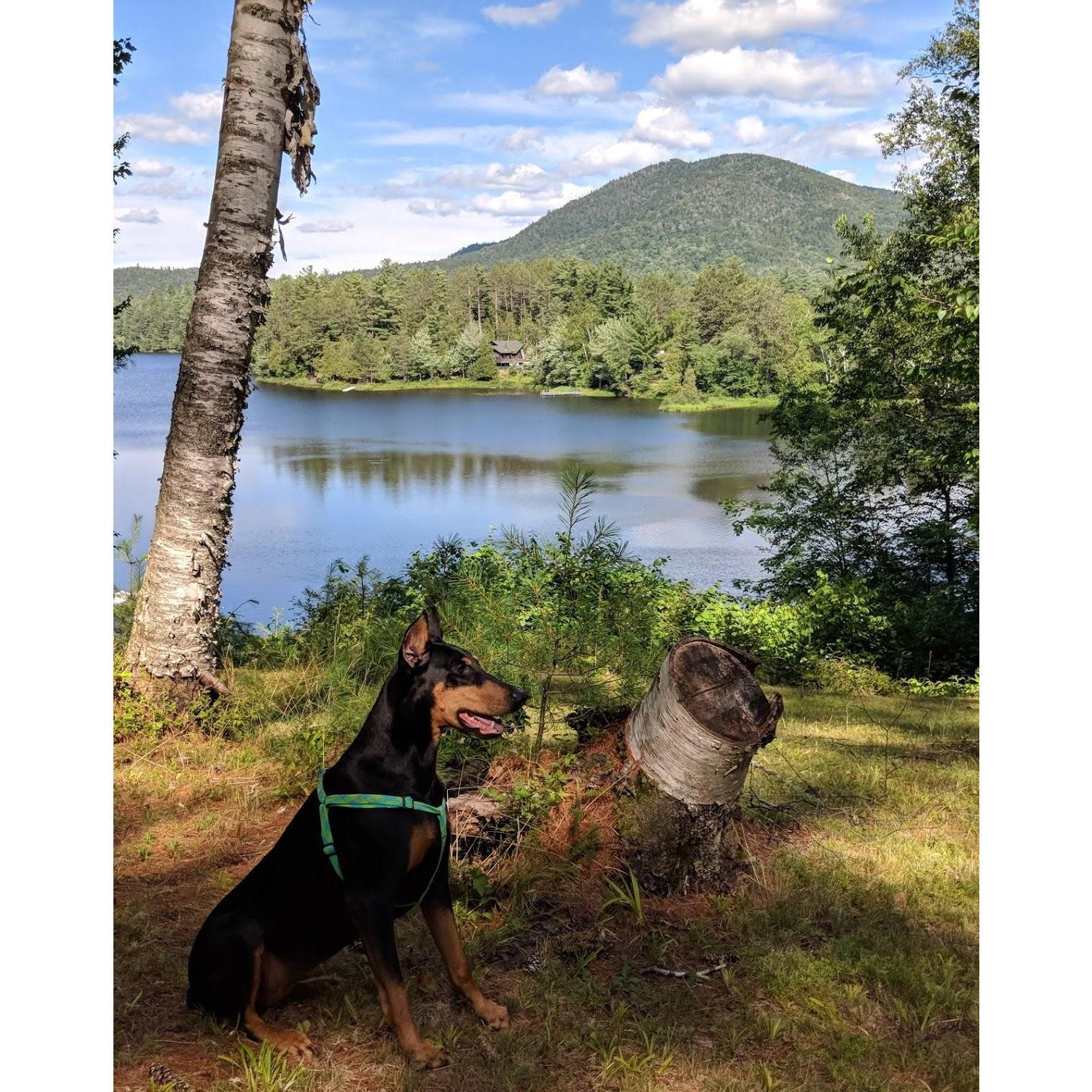 Our sweet Maus at Kelsey's family cottage in the Adirondacks