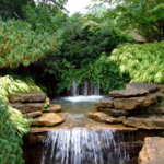 Inniswood Metro Gardens