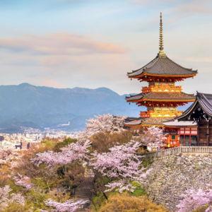 Honeymoon Tours in Japan
