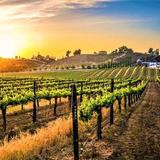 Temecula Valley Wine Country