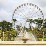 de Young Museum and California Academy of Sciences