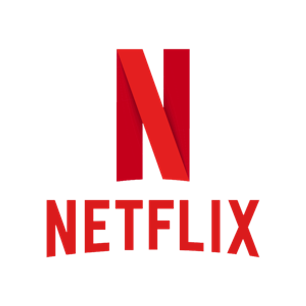 Netflix 1 Year Subscription