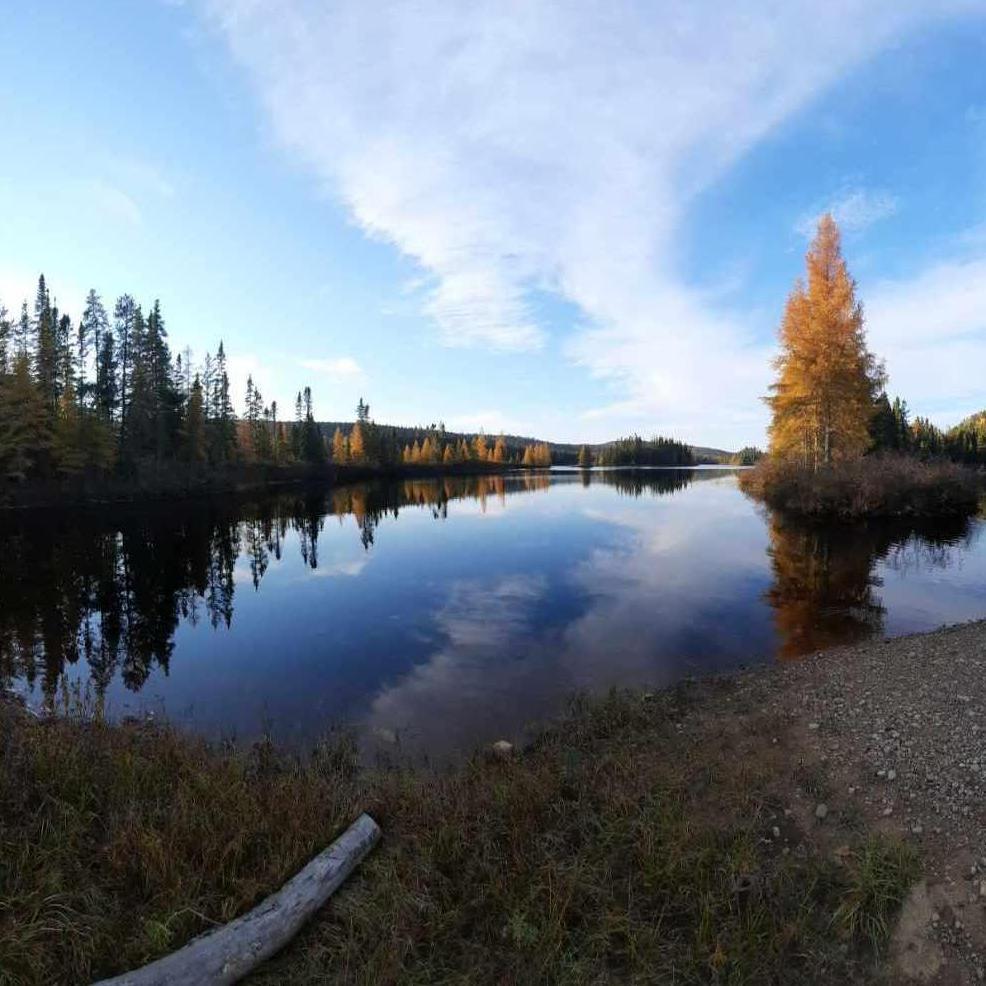 Camp de Chasse Vert | Casey, Mauricie | 2021