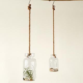 Secret Garden Hanging Terrarium