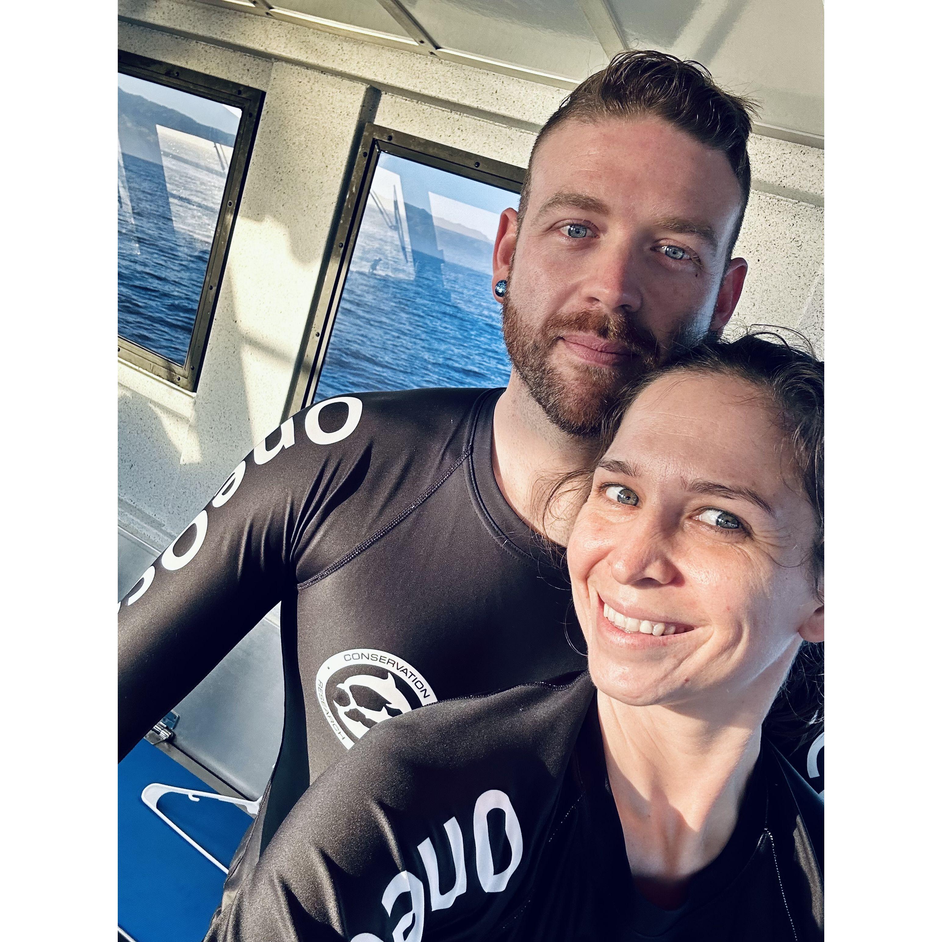 Shark Diving!