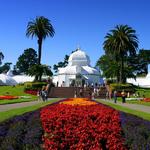 Golden Gate Park