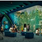 Shedd Aquarium
