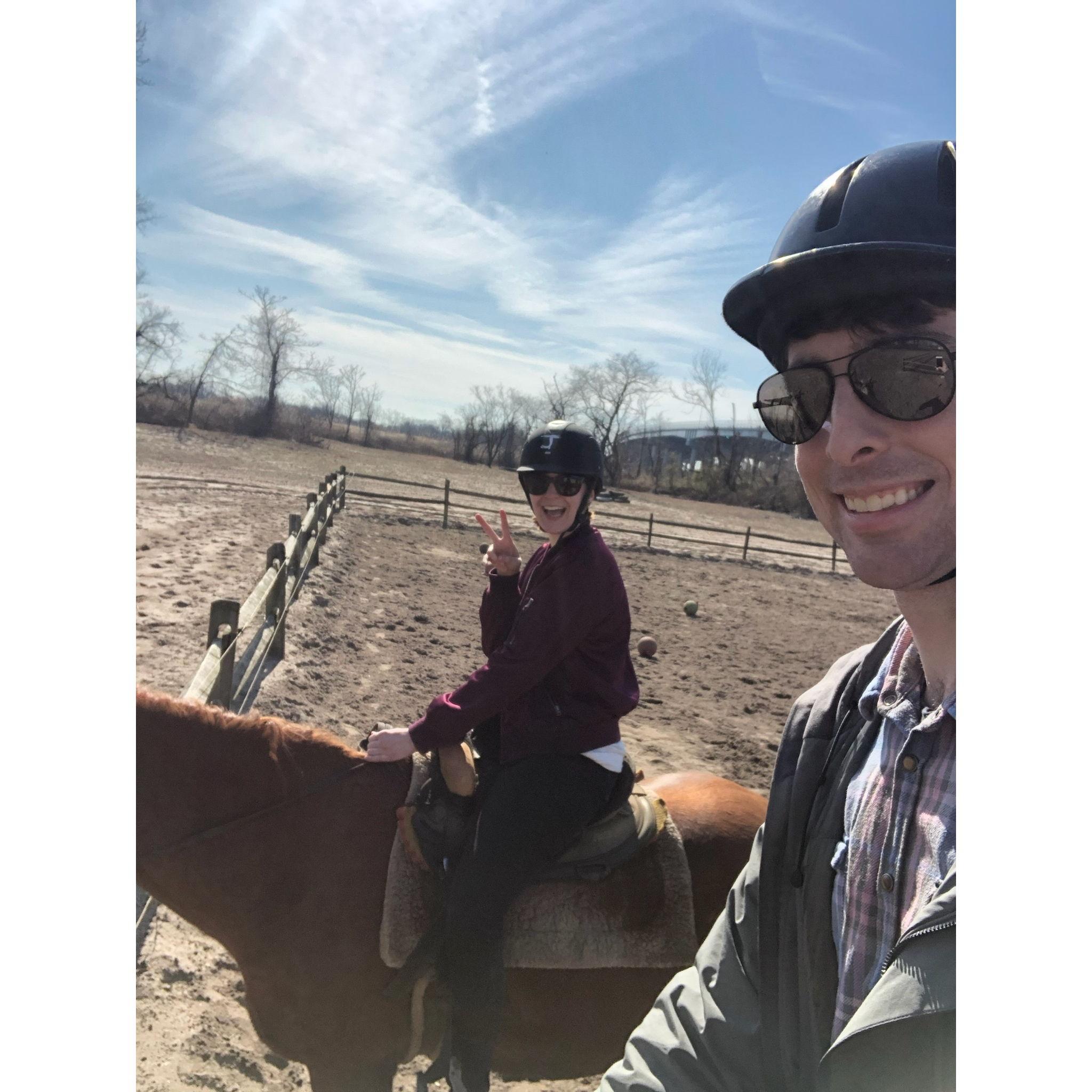 "Horsin' around" (Jamaica Bay, Queens; Feb. 17, 2020)