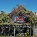 The Red Bar