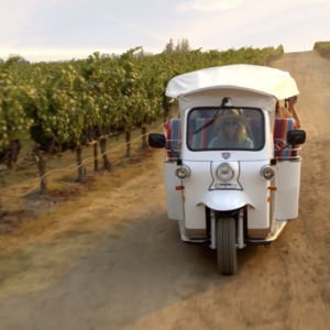Napa Vineyards and Lunch by TukTuk