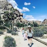 Joshua Tree National Park