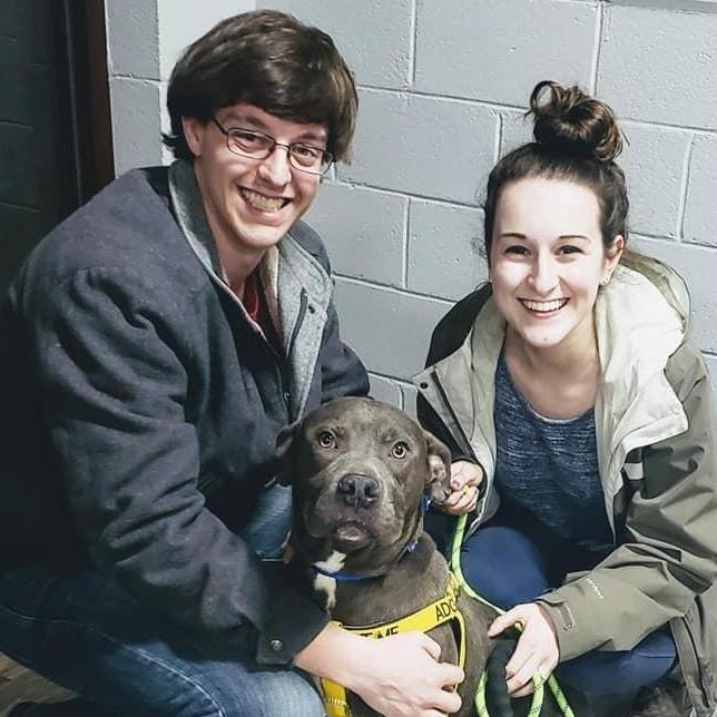 Our second Foster Dog...and first Foster Fail - December 2019