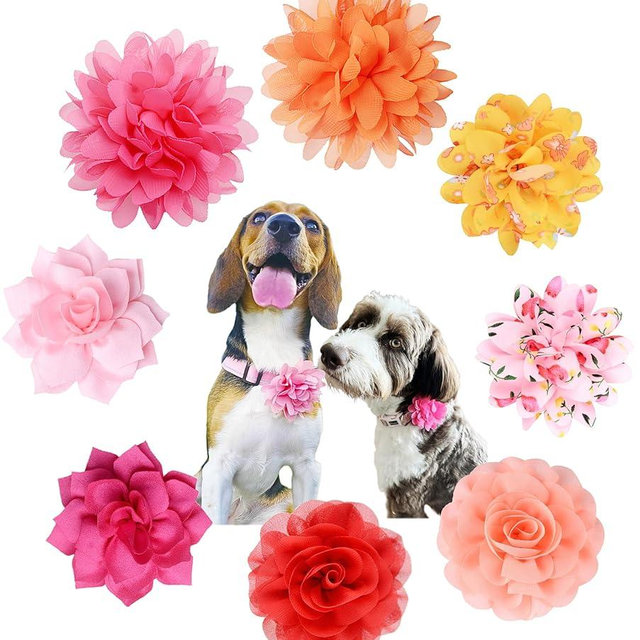 iToolai Dog Collar Flower Attachment, 8Pcs/4 Styles Cat Flowers Collar Charm Accessories,Chiffon Slide-on Flower Bows for Puppy Pet Grooming,Multicolored Pinky Series