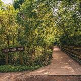 Frick Park