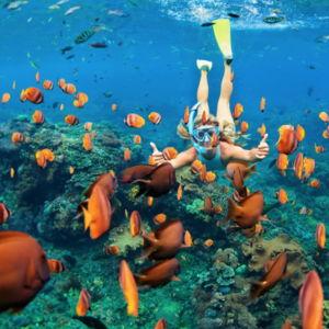 Maui Molokini Snorkeling