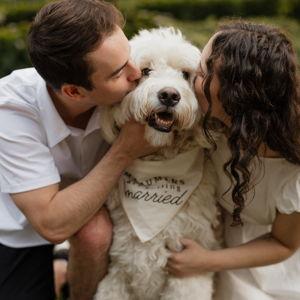 Pet Boarding Fund