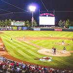 Springfield Cardinals