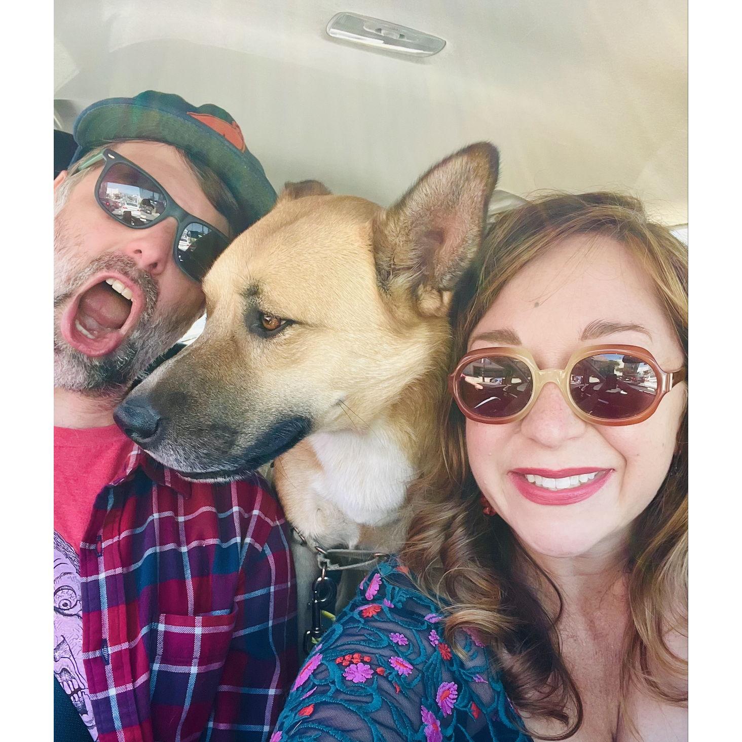 Road trip!! from our first excursion to The Pelican Inn. (This is how Doc Holliday prefers to ride)