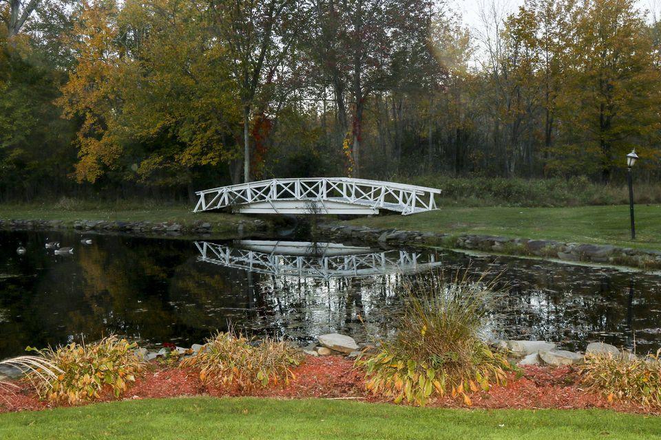 The Wedding Website of Alex Carrero and Chelsea Rubalcaba