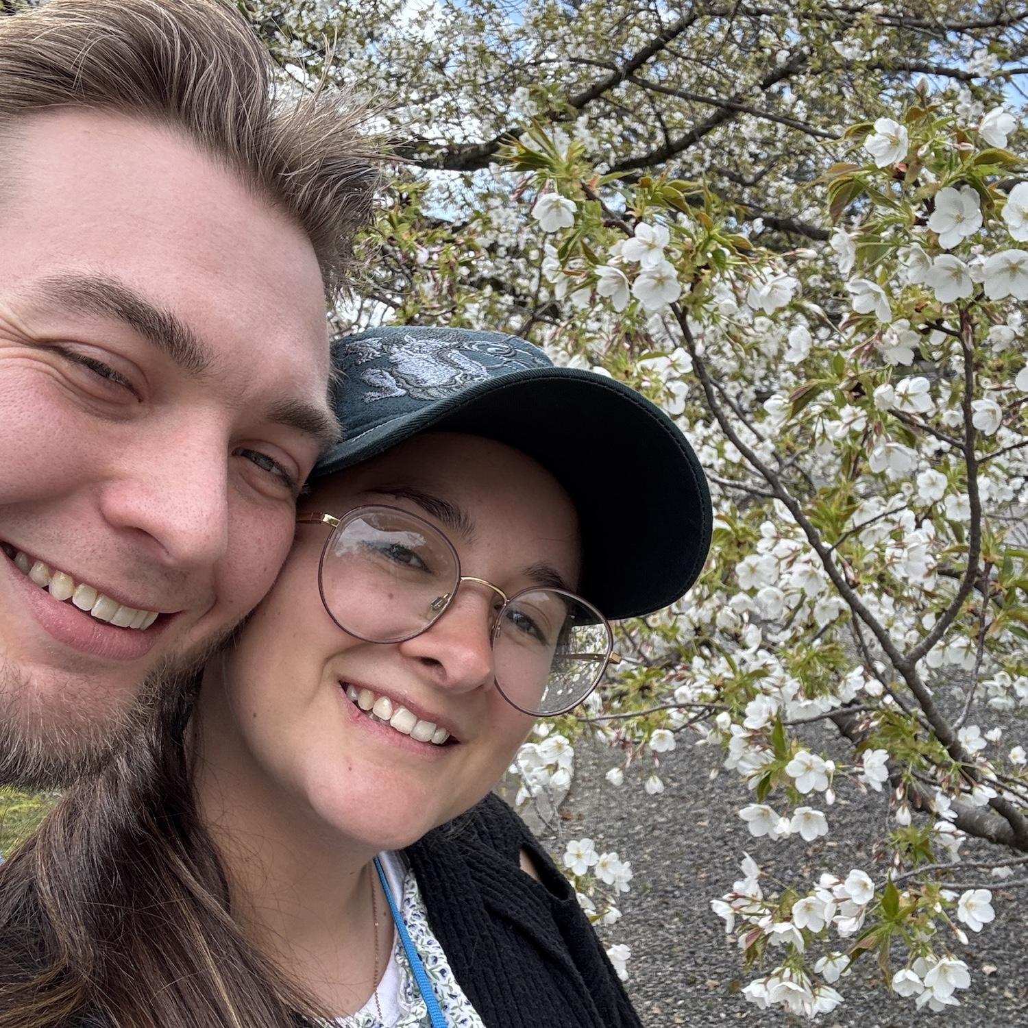 Cherry blossom season 2025 / temporada de cerezos