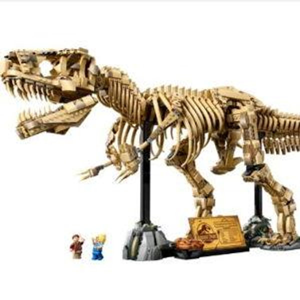 Dinosaur Fossils: Tyrannosaurus rex