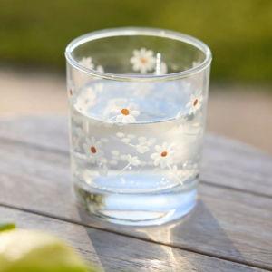 Daisy Etched Tumblers, Set of 4