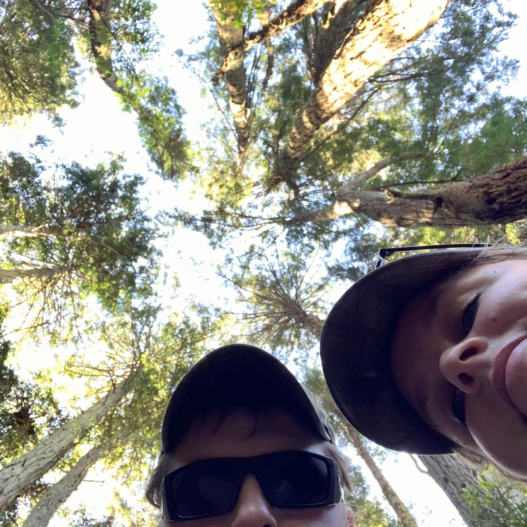 Hiking in Sonoma County