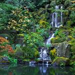 Portland Japanese Garden