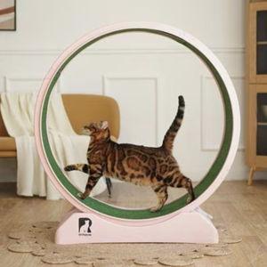 RYPetmia Indoor Cat Exercise Wheel with Interactive Toy