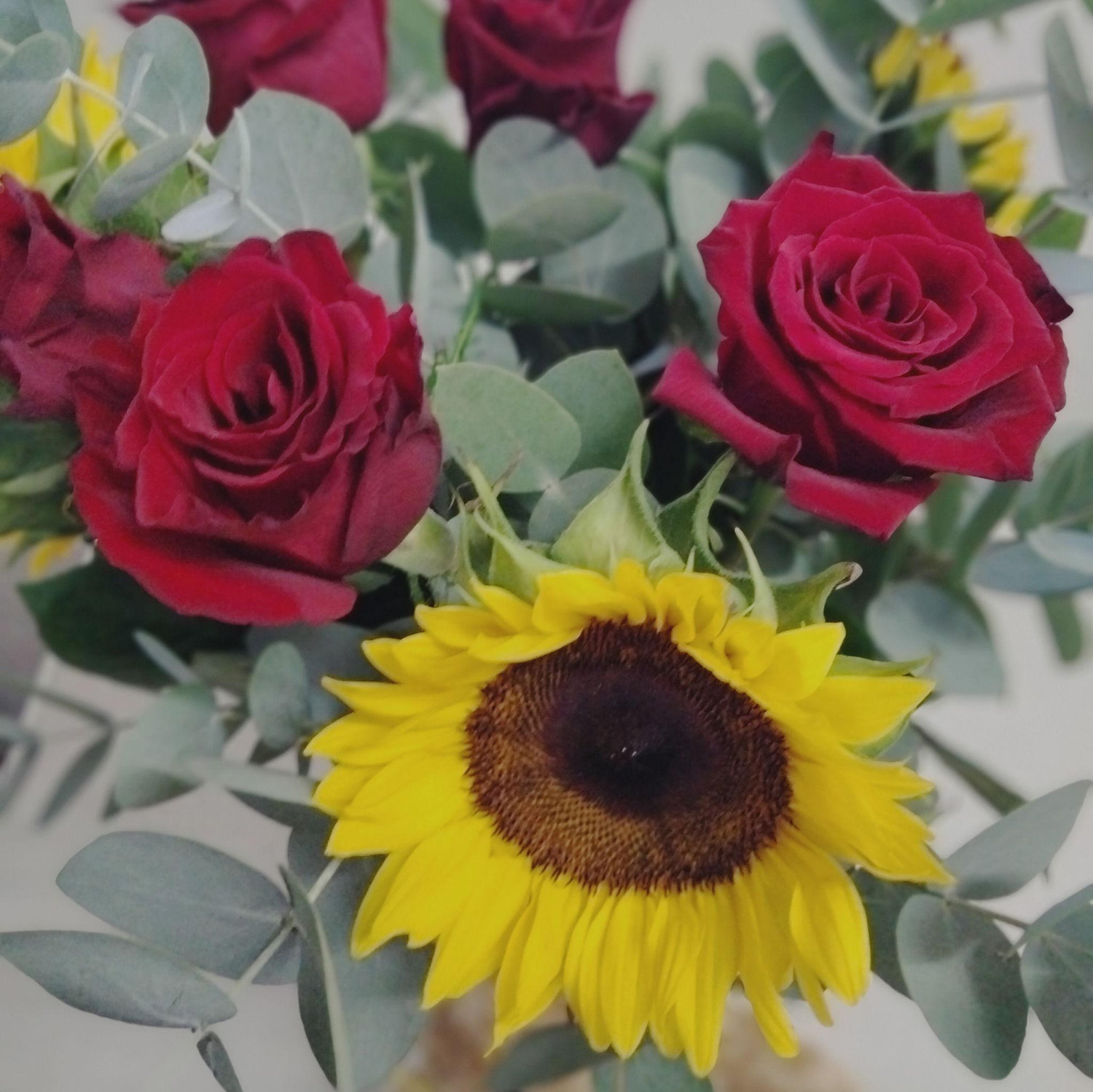 “My heel eerste Valentynsdag-geskenk van Pierre af: rose en sonneblomme, ’n teddie wat my skel as ek hom laat val, Lindt-sjokolade wat ek moes deel (in teorie), en ’n kaartjie wat my laat voel het soos ’n VIP in liefde.”