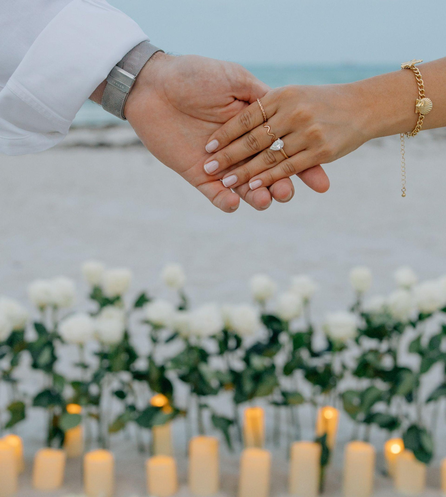 The Wedding Website of Adriana Diaz and Charles Knight