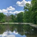 Oak Openings Preserve Metropark