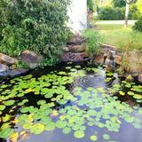 Cann Memorial Gardens