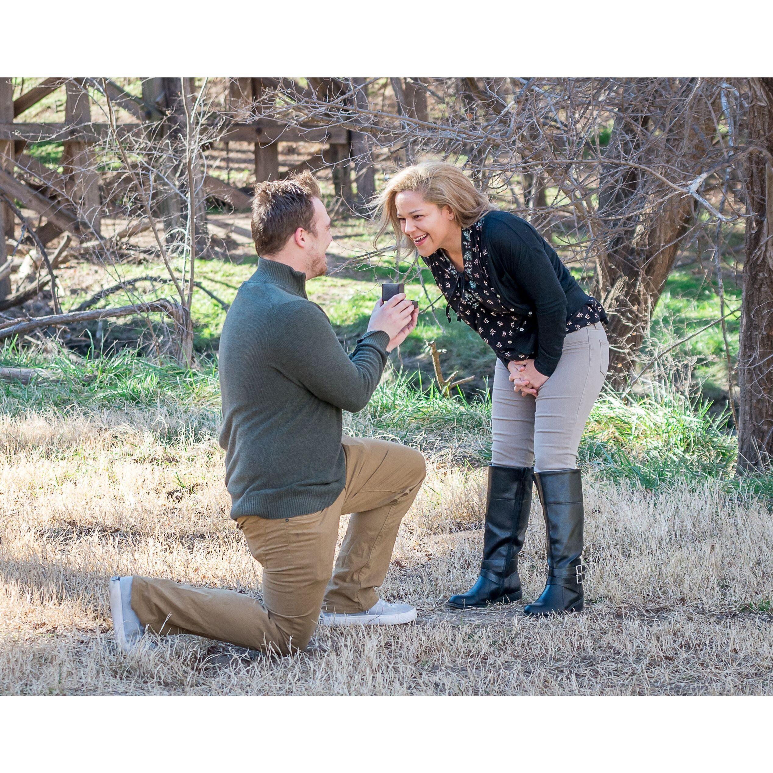 "ummmm...YES."
Thank you to Josh's dad, Adam Reinhart, who was able to capture some great authentic engagement pics as it was happening.