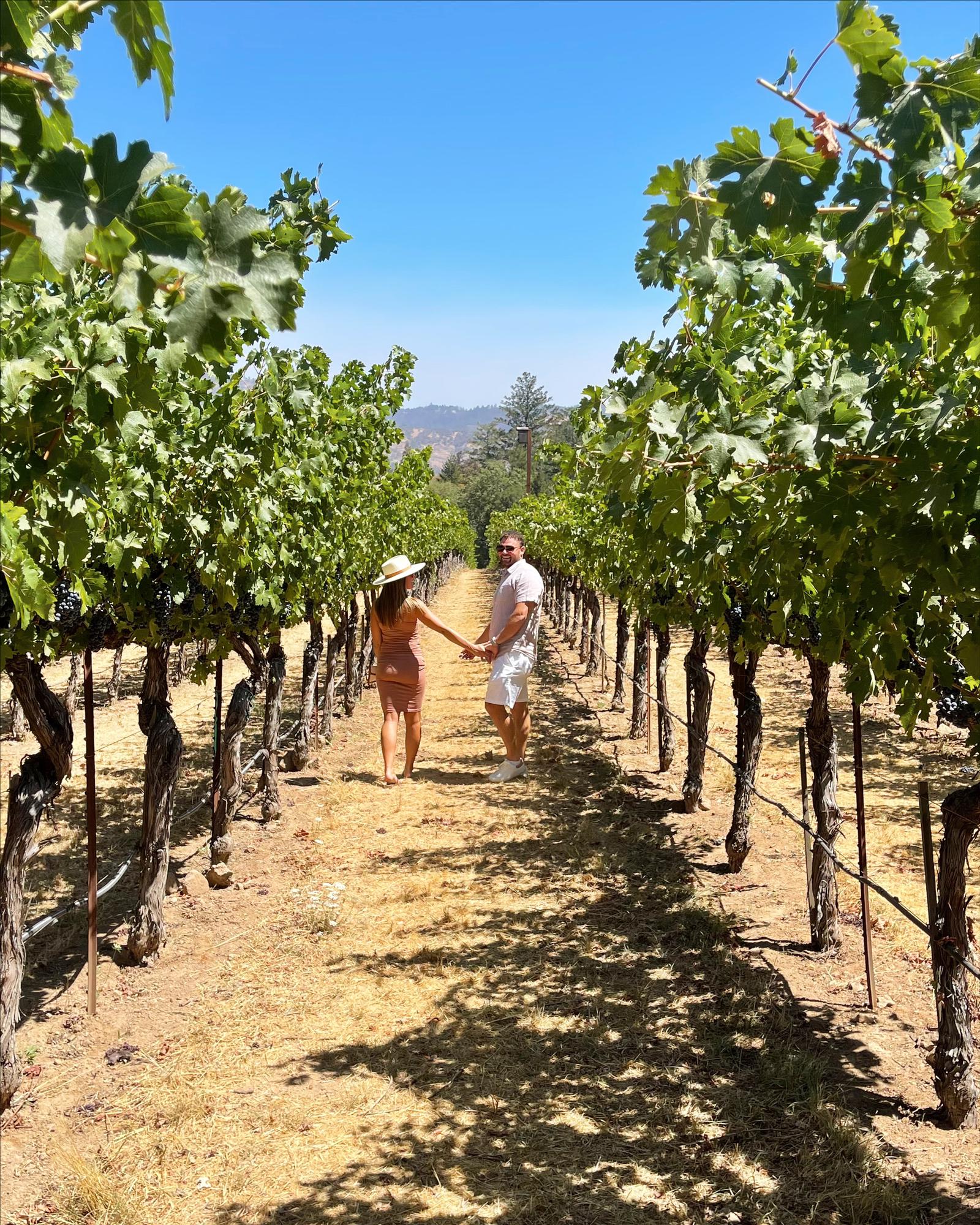 Napa Valley - August 2021