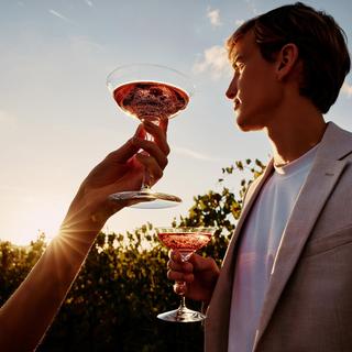 Elegance Champagne Belle Coupe Glass, Set of 2