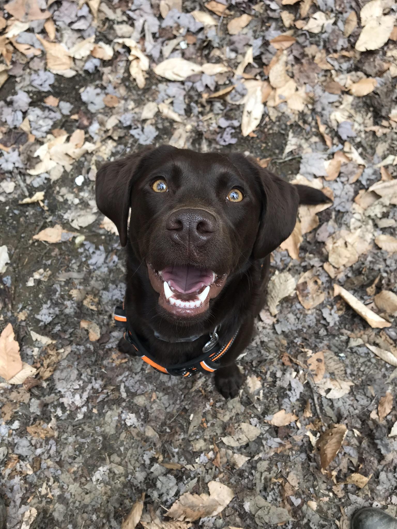 The Wedding Website of Abby Mae Erwin and Nathan Canan-Zucker