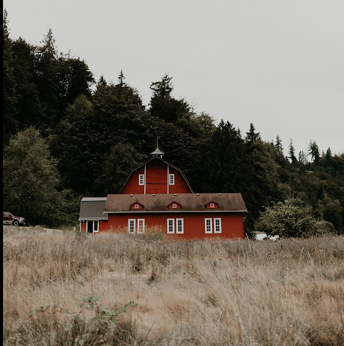 The Wedding Website of Alexandra Tyler and Dallyn Martindale