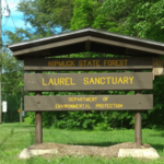 Nipmuck State Forest