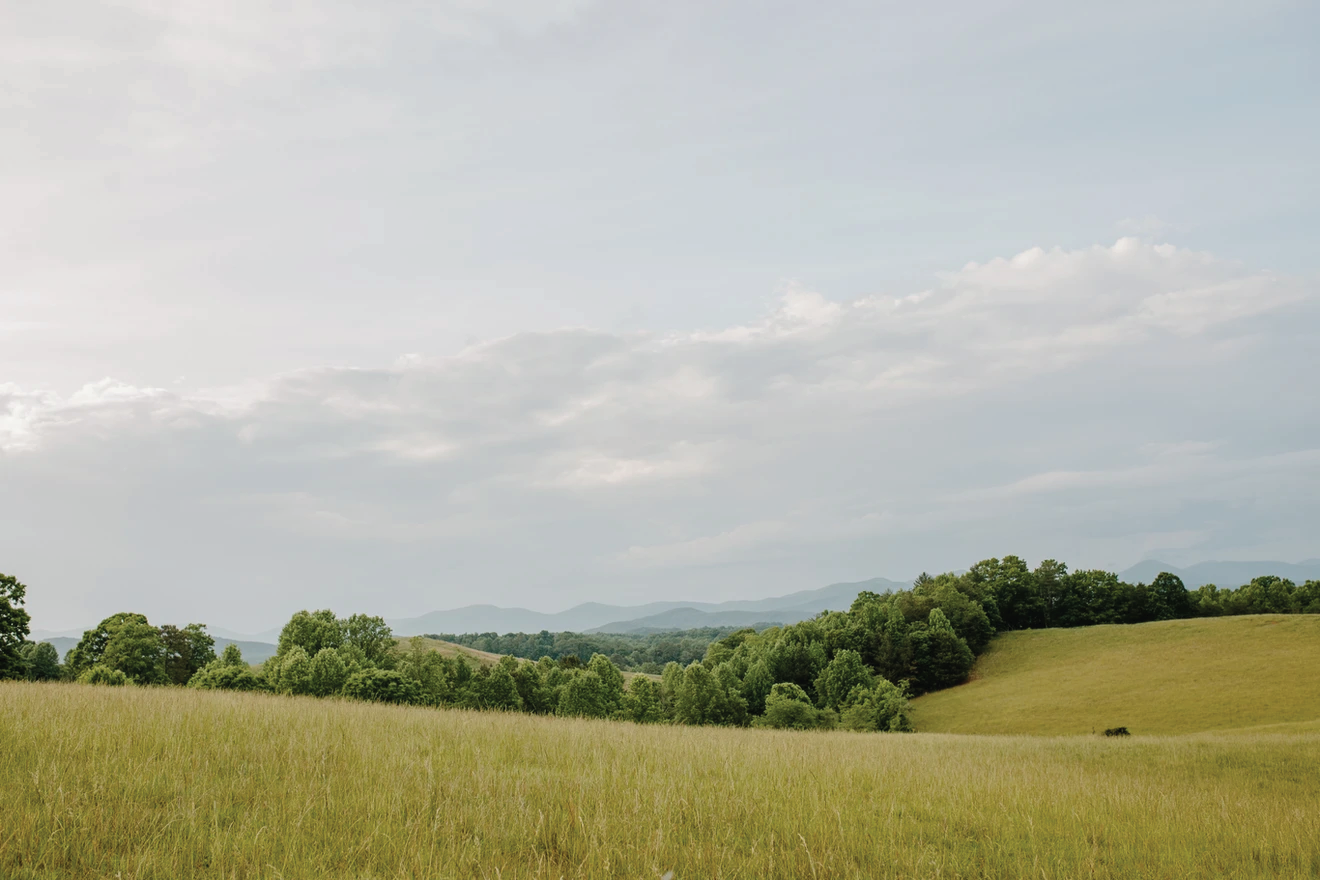 The Wedding Website of Johanna Knowles and Indy Wilson