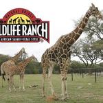 Natural Bridge Wildlife Ranch