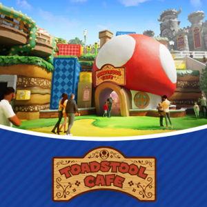 Lunch at Toadstool Cafe