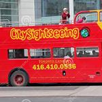 Hop on/ Hop off Bus Tours