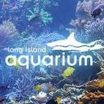 Long Island Aquarium